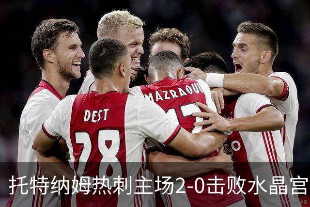 托特纳姆热刺主场2-0击败水晶宫：马特塔红牌与进攻效率分析